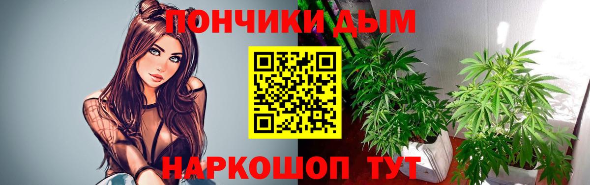 Бошки Шишки конопля Ейск